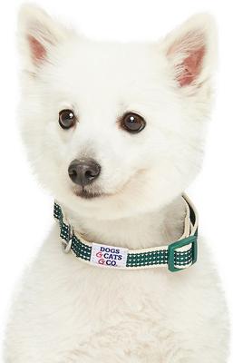 Show full view: Dogs & Cats & Co. Polyester 3M Reflective Safety Dog Collar, Dark Green, Small: 16-in neck, 5/8-in wide slide 2 of 6