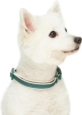 Show full view: Dogs & Cats & Co. Polyester 3M Reflective Safety Dog Collar, Dark Green, Small: 16-in neck, 5/8-in wide slide 3 of 6