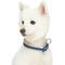 Show in main carousel: Dogs & Cats & Co. Polyester 3M Reflective Safety Dog Collar, Navy Blue, Medium: 20-in neck, 3/4-in wide slide 2 of 6