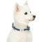 Show in main carousel: Dogs & Cats & Co. Polyester 3M Reflective Safety Dog Collar, Navy Blue, Medium: 20-in neck, 3/4-in wide slide 3 of 6