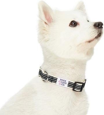 Show full view: Dogs & Cats & Co. Polyester 3M Reflective Safety Dog Collar, True Black, Small: 16-in neck, 5/8-in wide slide 3 of 6