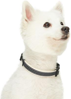 Show full view: Dogs & Cats & Co. Polyester 3M Reflective Safety Dog Collar, True Black, Small: 16-in neck, 5/8-in wide slide 2 of 6