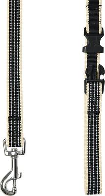 Show full view: Dogs & Cats & Co. Polyester 3M Reflective Safety Dog Leash, True Black, Large: 4-ft long, 1-in wide slide 3 of 4