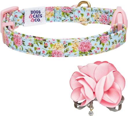 Show full view: Dogs & Cats & Co. Polyester Safety Breakaway with Bell Cat Collar, Floral Turquoise, One Size: 13-in neck, 3/8-in wide slide 3 of 4