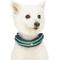 Show in main carousel: Dogs & Cats & Co. Polyester Stripes Soft Padded Multi-Use Cover Dog Collar, Navy/Green, Medium: 20-in neck, 3/4-in wide slide 2 of 8