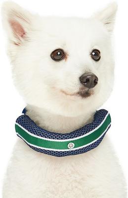 Show full view: Dogs & Cats & Co. Polyester Stripes Soft Padded Multi-Use Cover Dog Collar, Navy/Green, Medium: 20-in neck, 3/4-in wide slide 2 of 8