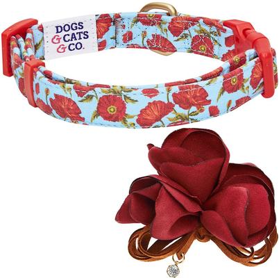 Show full view: Dogs & Cats & Co. Poppy Flower with Red Flower Accessory Polyester Dog Collar, Turquoise, Large: 26-in neck, 1-in wide slide 4 of 7