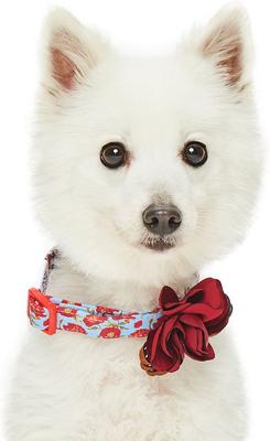 Show full view: Dogs & Cats & Co. Poppy Flower with Red Flower Accessory Polyester Dog Collar, Turquoise, Large: 26-in neck, 1-in wide slide 2 of 7