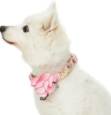 Show full view: Dogs & Cats & Co. Red Flower AccessoryFloral Design Polyester Dog Collar, Beige & Pink, Large: 26-in neck, 1-in wide slide 3 of 8