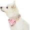 Show in main carousel: Dogs & Cats & Co. Red Flower AccessoryFloral Design Polyester Dog Collar, Beige & Pink, Small: 16-in neck, 5/8-in wide slide 3 of 8