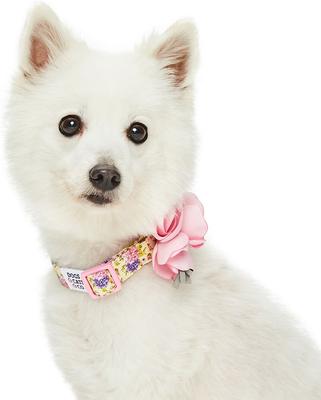 Show full view: Dogs & Cats & Co. Red Flower AccessoryFloral Design Polyester Dog Collar, Beige & Pink, Small: 16-in neck, 5/8-in wide slide 2 of 8