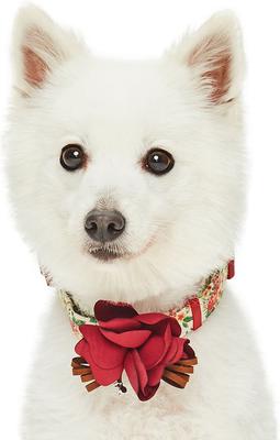 Show full view: Dogs & Cats & Co. Red Flower AccessoryFloral Design Polyester Dog Collar, Beige & Red, Medium: 20-in neck, 3/4-in wide slide 3 of 8