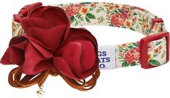 Dogs & Cats & Co. Red Flower AccessoryFloral Design Polyester Dog Collar, Beige & Red, Small: 16-in neck, 5/8-in wide