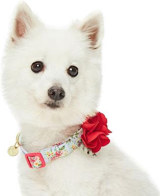 Show full view: Dogs & Cats & Co. Red Flower AccessoryFloral Design Polyester Dog Collar, Turquoise, Large: 26-in neck, 1-in wide slide 2 of 8