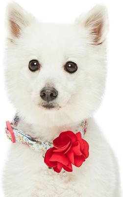 Show full view: Dogs & Cats & Co. Red Flower AccessoryFloral Design Polyester Dog Collar, Turquoise, Large: 26-in neck, 1-in wide slide 3 of 8