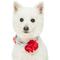 Show in main carousel: Dogs & Cats & Co. Red Flower AccessoryFloral Design Polyester Dog Collar, Turquoise, Medium: 20-in neck, 3/4-in wide slide 3 of 8