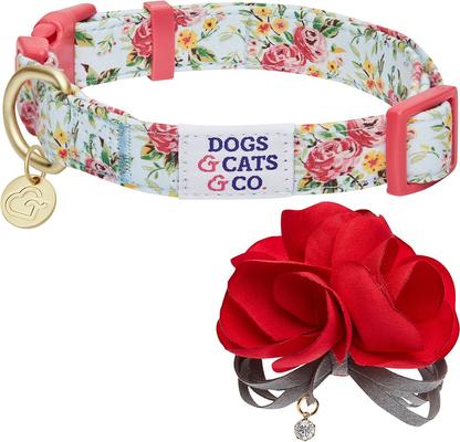 Show full view: Dogs & Cats & Co. Red Flower AccessoryFloral Design Polyester Dog Collar, Turquoise, Small: 16-in neck, 5/8-in wide slide 5 of 9