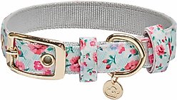 Dogs & Cats & Co. Rose Flower Polyester Dog Collar, Ashy Beige, Large: 20.5-in neck, 1-in wide