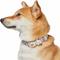 Show in main carousel: Dogs & Cats & Co. Rose Flower Polyester Dog Collar, Ashy Beige, Medium: 16.5-in neck, 3/4-in wide slide 2 of 7