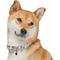 Show in main carousel: Dogs & Cats & Co. Rose Flower Polyester Dog Collar, Ashy Beige, Medium: 16.5-in neck, 3/4-in wide slide 3 of 7