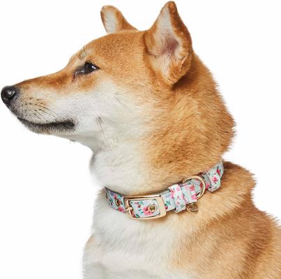 Show full view: Dogs & Cats & Co. Rose Flower Polyester Dog Collar, Ashy Beige, Small: 12.5-in neck, 5/8-in wide slide 2 of 7