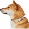 Show in main carousel: Dogs & Cats & Co. Rose Flower Polyester Dog Collar, Creamy Beige, Large: 20.5-in neck, 1-in wide slide 2 of 7