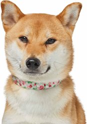 Dogs & Cats & Co. Rose Flower Polyester Dog Collar, Creamy Beige, Medium: 16.5-in neck, 3/4-in wide slide 2 of 6