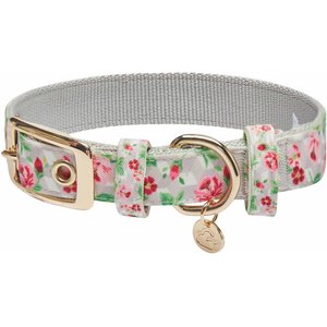 Dogs & Cats & Co. Rose Flower Polyester Dog Collar, Creamy Beige, Small: 12.5-in neck, 5/8-in wide