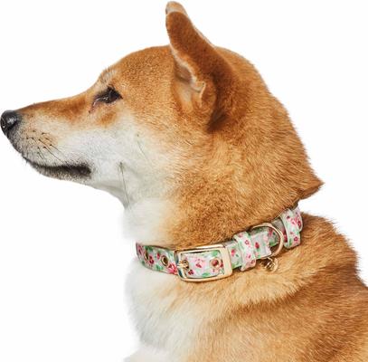 Show full view: Dogs & Cats & Co. Rose Flower Polyester Dog Collar, Creamy Beige, Small: 12.5-in neck, 5/8-in wide slide 2 of 7