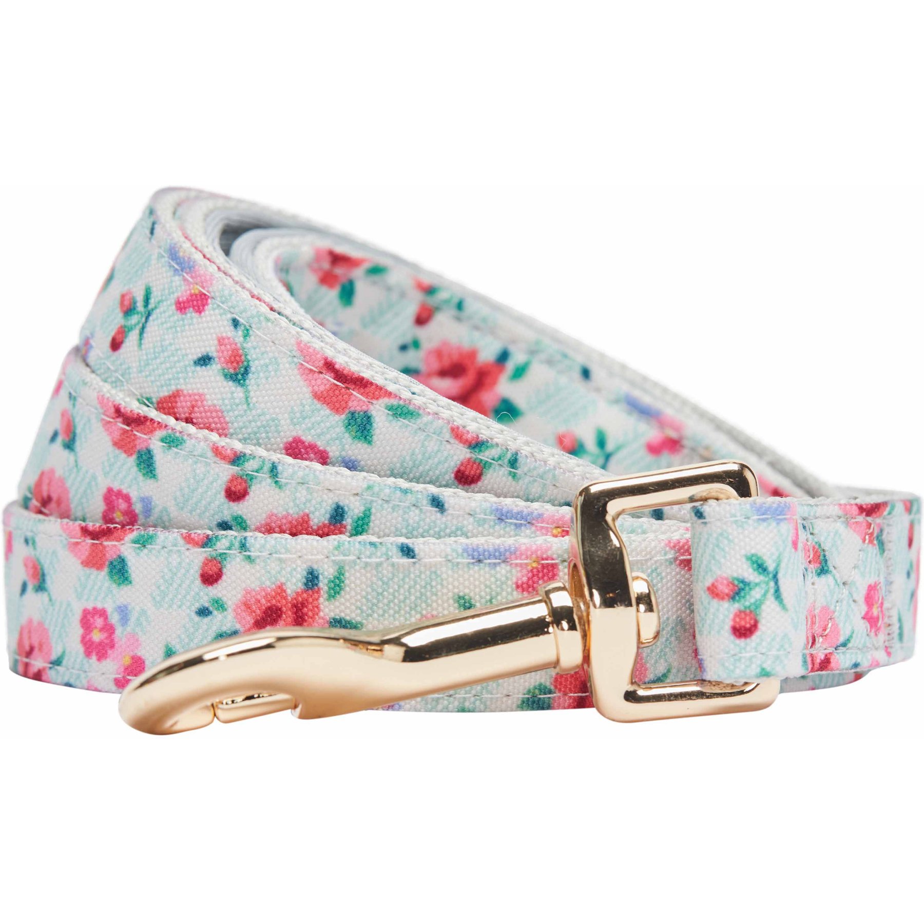 Dogs & Cats & Co. Rose Flower Polyester Dog Leash, Ashy Beige, Large: 4-ft long, 1-in wide