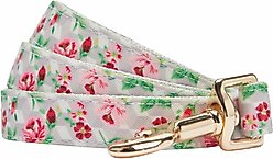 Dogs & Cats & Co. Rose Flower Polyester Dog Leash, Creamy Beige, Medium: 5-ft long, 5/8-in wide