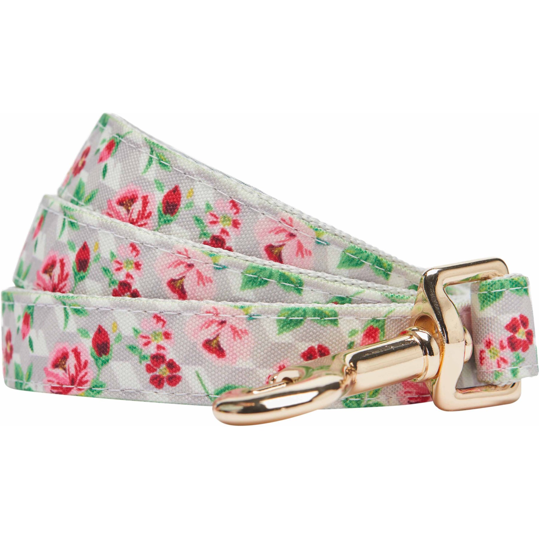 Dogs & Cats & Co. Rose Flower Polyester Dog Leash, Creamy Beige, Medium: 5-ft long, 5/8-in wide