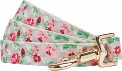 Dogs & Cats & Co. Rose Flower Polyester Dog Leash, Creamy Beige, Small: 5-ft long, 3/4-in wide