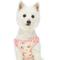 Show in main carousel: Dogs & Cats & Co. Soft Fabric Adjustable Comfortable Fit Vest Dog Harness, Floral Beige, Large: 29 to 38.5 -in chest slide 1 of 8