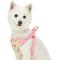 Show in main carousel: Dogs & Cats & Co. Soft Fabric Adjustable Comfortable Fit Vest Dog Harness, Floral Beige, Large: 29 to 38.5 -in chest slide 3 of 8