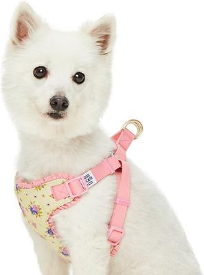 Show full view: Dogs & Cats & Co. Soft Fabric Adjustable Comfortable Fit Vest Dog Harness, Floral Beige, Large: 29 to 38.5 -in chest slide 3 of 8