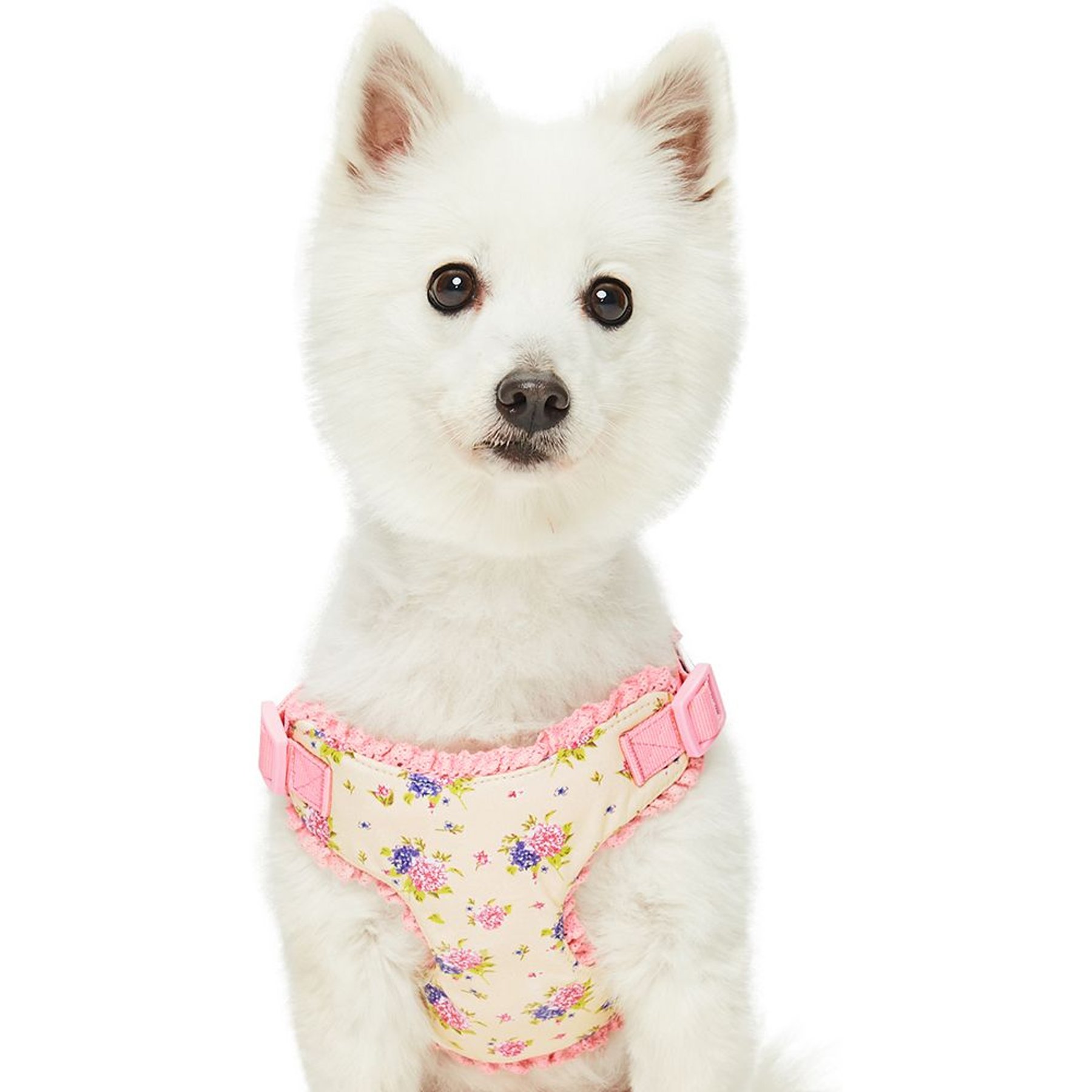 Dogs & Cats & Co. Soft Fabric Adjustable Comfortable Fit Vest Dog Harness, Floral Beige, Small: 17.5 to 21-in chest
