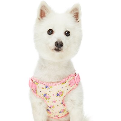 Dogs & Cats & Co. Dogs & Cats & Co. Soft Fabric Adjustable Comfortable Fit Vest Dog Harness, Floral Beige, Small: 17.5 to 21-in chest