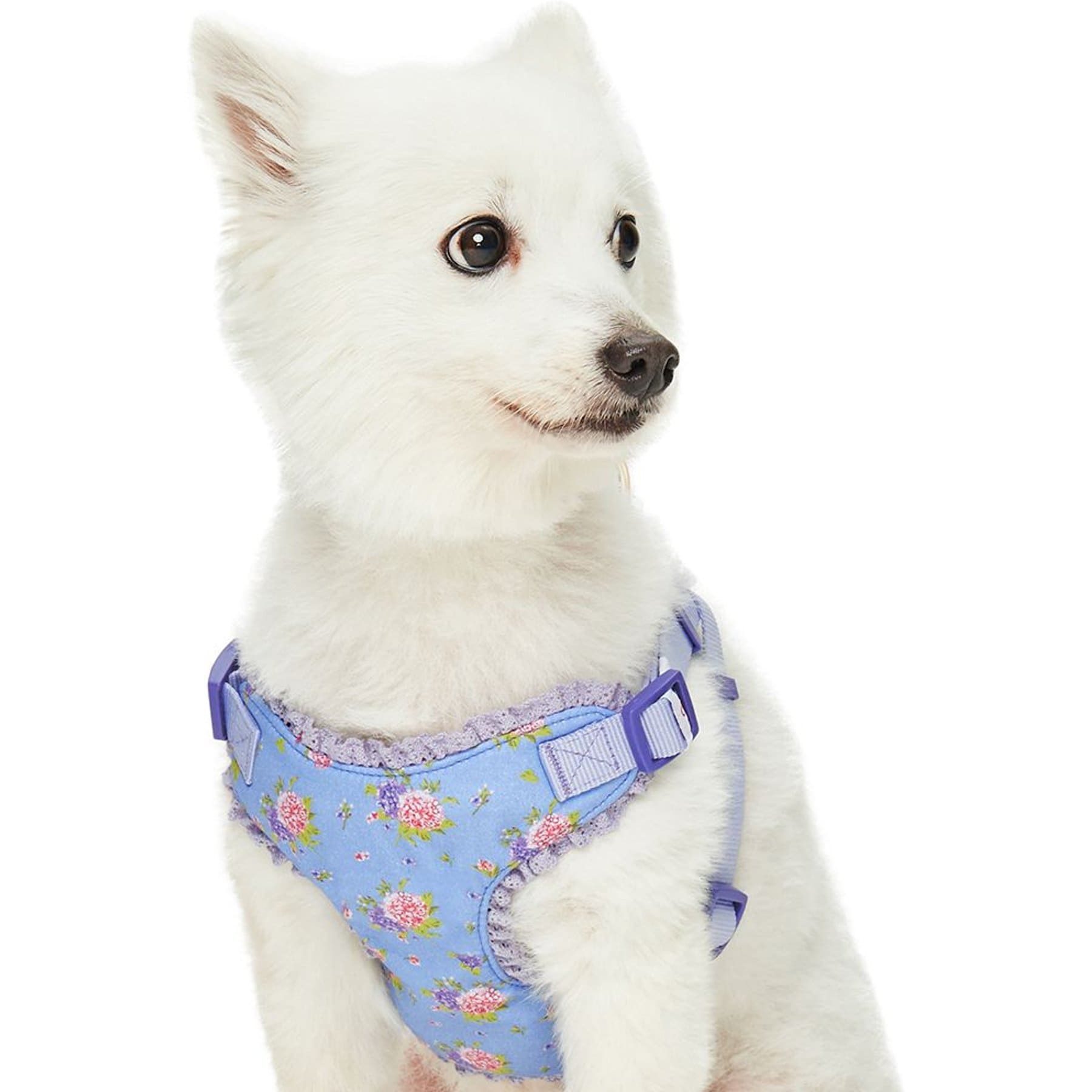 Dogs & Cats & Co. Soft Fabric Adjustable Comfortable Fit Vest Dog Harness, Floral Lavender, Large: 29 to 38.5 -in chest