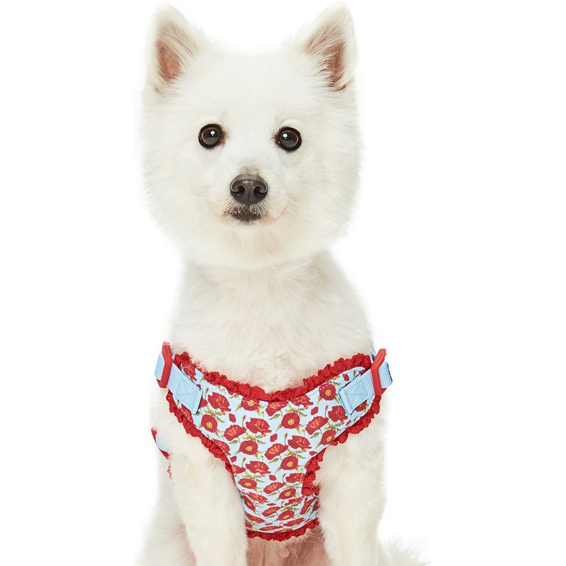 Dogs & Cats & Co. Soft Fabric Adjustable Comfortable Fit Vest Dog Harness, Poppy Flower Turquoise, Medium: 22 to 26-in chest