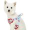 Show in main carousel: Dogs & Cats & Co. Soft Fabric Adjustable Comfortable Fit Vest Dog Harness, Poppy Flower Turquoise, Medium: 22 to 26-in chest slide 2 of 7
