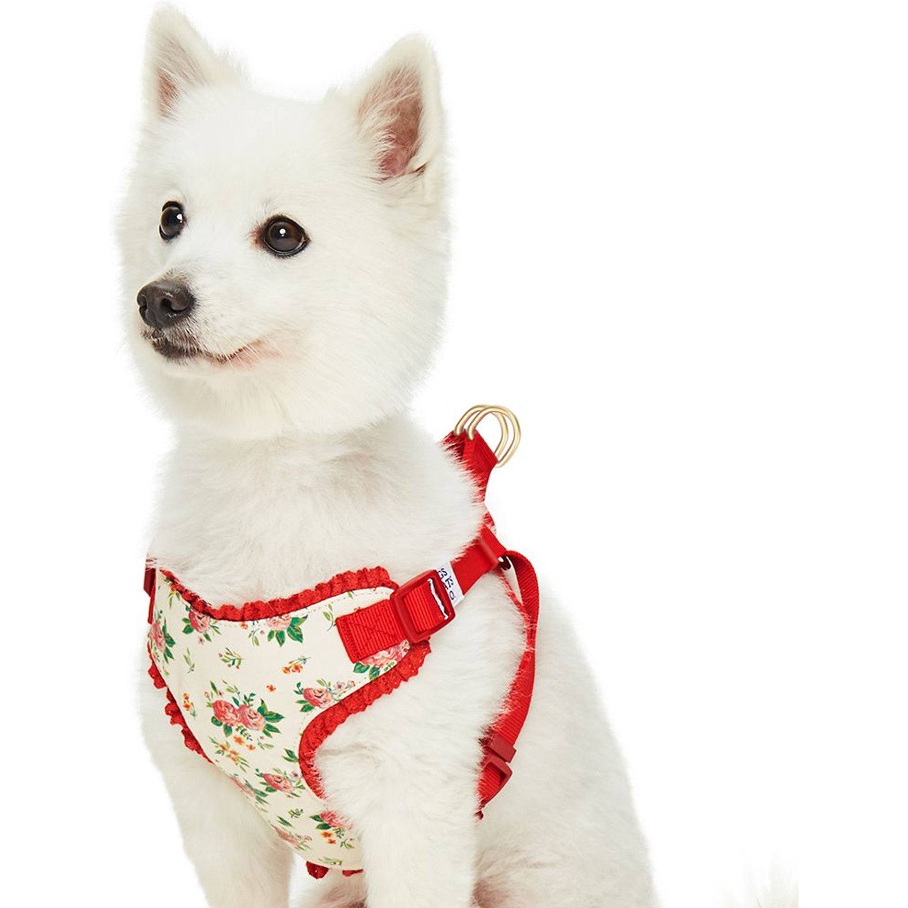 Dogs & Cats & Co. Soft Fabric with Adjustable Red Straps Vest Dog Harness, Balloon Flower Beige, Medium: 22 to 26-in chest