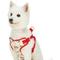 Show in main carousel: Dogs & Cats & Co. Soft Fabric with Adjustable Red Straps Vest Dog Harness, Balloon Flower Beige, Small: 17.5 to 21-in chest slide 1 of 7