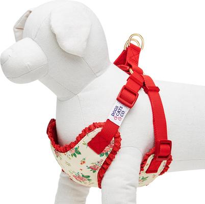 Show full view: Dogs & Cats & Co. Soft Fabric with Adjustable Red Straps Vest Dog Harness, Balloon Flower Beige, Small: 17.5 to 21-in chest slide 3 of 7
