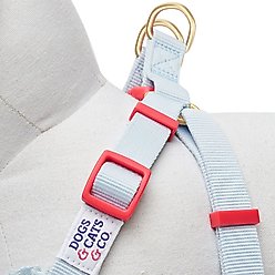 Dogs & Cats & Co. Soft Fabric with Adjustable Red Straps Vest Dog Harness, Balloon Flower Turquoise, Large: 29 to 38.5 -in chest slide 2 of 7