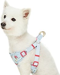 Dogs & Cats & Co. Soft Fabric with Adjustable Red Straps Vest Dog Harness, Balloon Flower Turquoise, Medium: 22 to 26-in chest slide 2 of 7