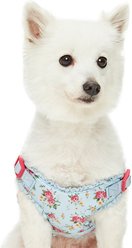 Dogs & Cats & Co. Soft Fabric with Adjustable Red Straps Vest Dog Harness, Balloon Flower Turquoise, Small: 17.5 to 21-in chest