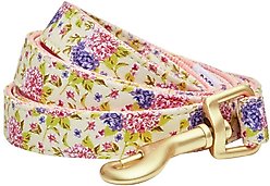 Dogs & Cats & Co. Spring Blossom Polyester Dog Leash, Beige & Pink, Small: 5-ft long, 3/4-in wide