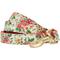 Show in main carousel: Dogs & Cats & Co. Spring Blossom Polyester Dog Leash, Beige & Red, Small: 5-ft long, 3/4-in wide slide 1 of 4
