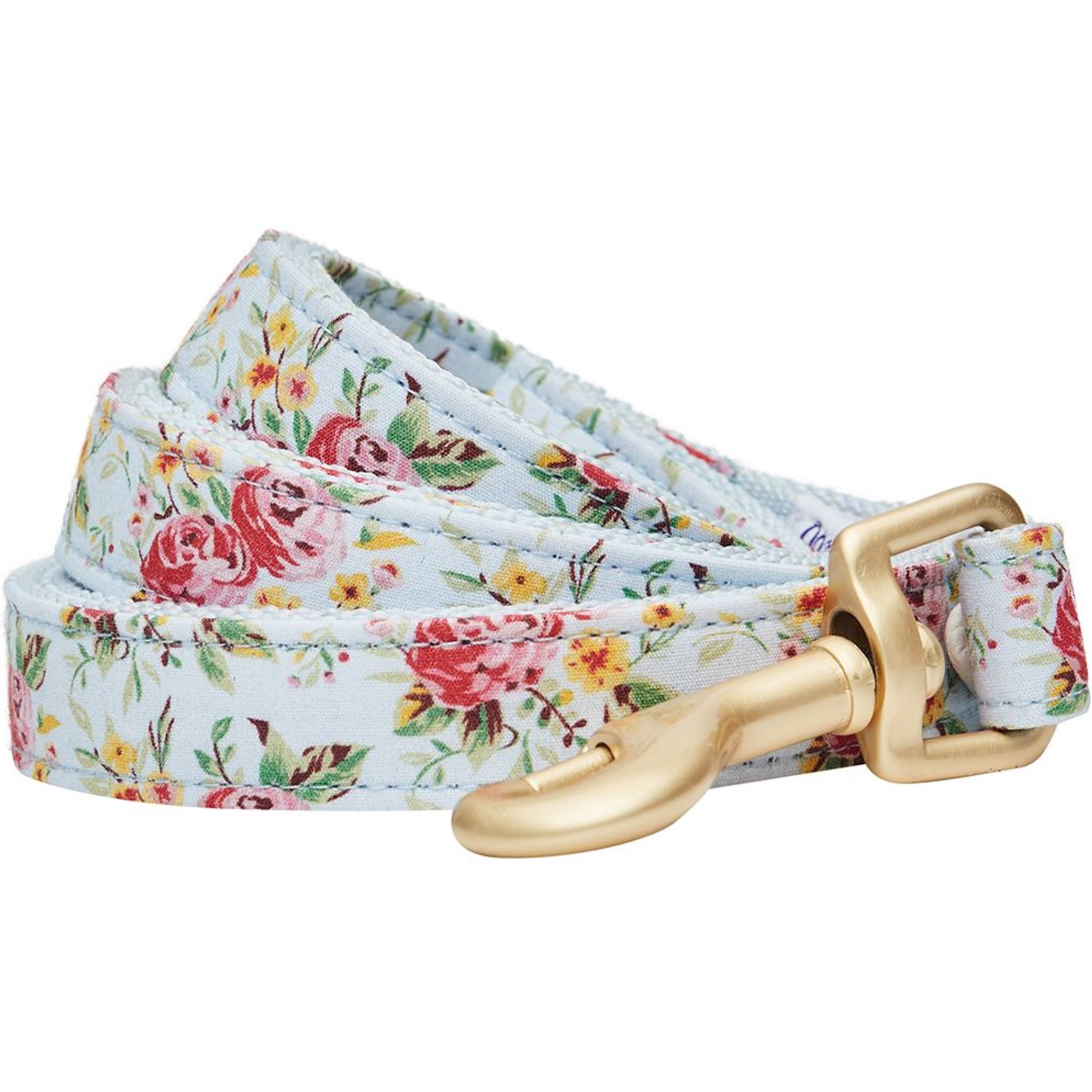 Dogs & Cats & Co. Spring Blossom Polyester Dog Leash, Turquoise, Large: 4-ft long, 1-in wide